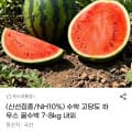 [G마켓]수박 고당도 하우스 꿀수박 7-8kg(농카 14,390원/무배)