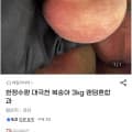 [지마켓]대극천복숭아 혼합과 3kg (14,630원/무료)