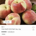 [29CM]대극천복숭아 1kg 중소과 10과 내외 (9,500원/무료)