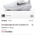 [롯데온]나이키 다운시프터 14 IB1895-101 (53,060원/무료)