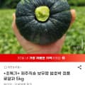 [G마켓]제주직송 보우짱 밤호박 정품 로얄과 5kg (12,400원/무배)