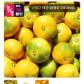 [온누리마켓]제주 하우스 감귤 1.5kg (6,955원/무배)