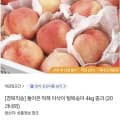 [SK스토아]딱복 아삭이 털복숭아 4kg 중과 (20과내외)(13,930원/무배)