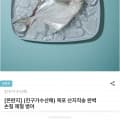 [남도장터]목포 산지직송 완벽 손질 제철 병어 (17,930원/무배)