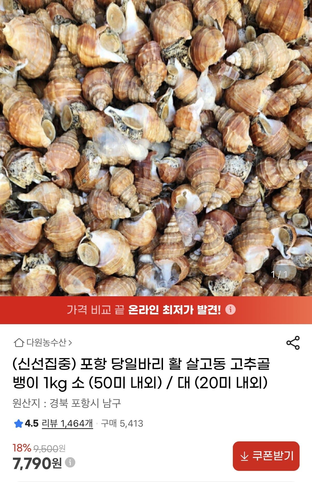 [지마켓]포항 활 살고동 고추골뱅이 1kg 소(50미 내외) (7,790원/무료)