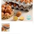 [푸드폴리스]맛난 구운란 대란 60구 (17,310원/무료)