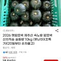 [지마켓]햇밤호박 제주산 속노랑 밤호박 10kg (못난이) (17,080원 / 무배)