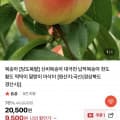 [네이버]당도폭팔 대극천 복숭아 1KG 소과 (9,500원/무료)