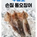 [롯데온]급냉 자연산 손질 통오징어 220g4팩 (14,880원/무배)