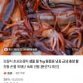 [네이버]국산 생물 오징어(4-5미) 1kg (10,620원/네멤무료)