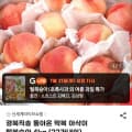 [지마켓]경북직송 돌아온 딱복 아삭이 털복숭아 4kg (22과내외 16,720원 ~ 16과 24,720원)