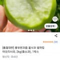 [쿠팡]아오리사과 2kg(중소과) 1박스 (12,600원/무료)