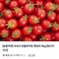 [네이버]방울토마토 랜덤과 5kg (12,930원 / 무료)