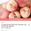 [오늘의집]황도복숭아 3kg 로얄과 특품 8~10과 (28,080원/무료)