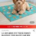 [G마켓]강아지고양이 쿨 젤매트 L 65x50 (6,720원/무료)