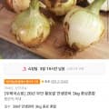 [11번가]26년 무안 황토밭 만생양파 3kg 중상혼합 (3,960원/무료)