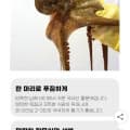[지마켓]자연산 활 돌문어 1마리 700g 고정(16,580원/무배)