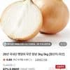 국내산 무안/창녕 햇양파 1.5kg