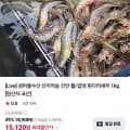 [네이버]활 흰다리새우 1kg (23,960원/무료)