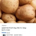 [톡딜]국내산 햇감자 5kg (개당 70~100g) (7,120원/무료)