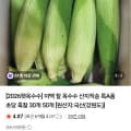 [네이바]미백 찰 옥수수 산지직송 30개 (21,700원 / 무배)