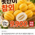 [카카오]성주 못난이 참외 5kg (9,900원 / 무배)