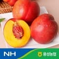 [카카오]국내산 천홍 천도 복숭아 2kg 대과(11-14과) / 농협선별 (11,840원/무료)