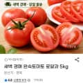 [지마켓]새벽 경매 특품 완숙 토마토 핫딜5kg(12,420/무대)