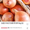 [우체국쇼핑]양파 상 5kg (3,720원/무료)