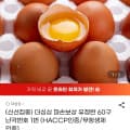 [지마켓]난각번호 1번 유정란 60구 (25,910원/무료)