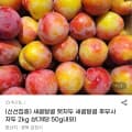 [지마켓]햇자두 후무사 자두 2kg 상(개당 50g내외) (12,280원/무료)