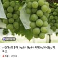 [네이버]샤인머스켓 중과 1kg 2수 (9,900원/무료)