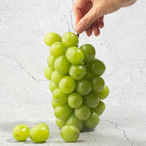 [오늘의집]김천 샤인머스켓 2kg 4수 (16,920원/무료) (무료배송)