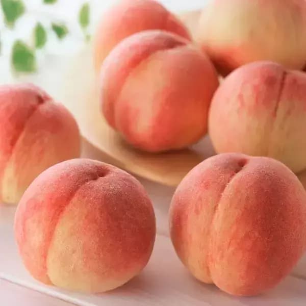 [11번가]딱딱이 털복숭아 4kg 22~26과(14,820원/무배)