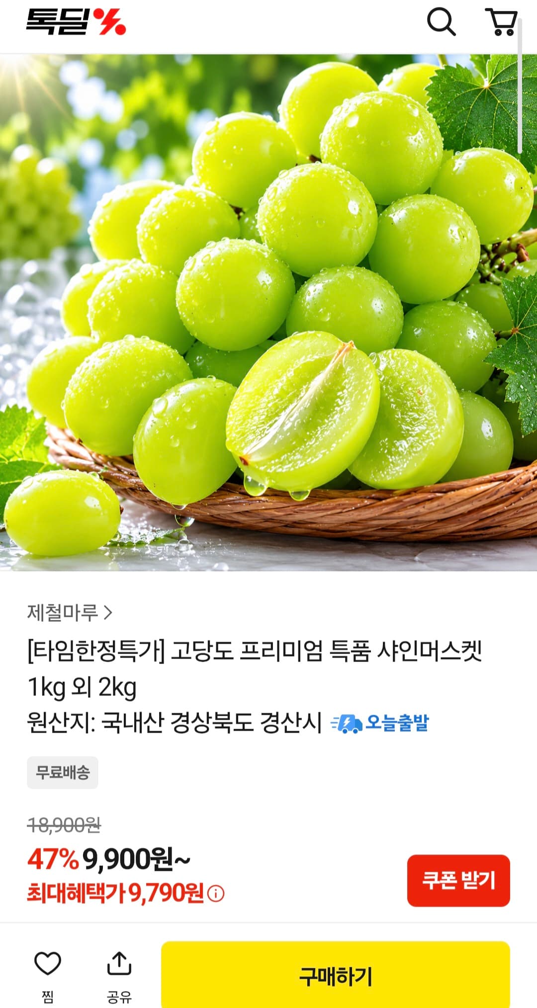 [카카오쇼핑] 고당도 특품 샤인머스켓 1kg 9,790원 (무료)