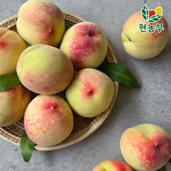 [G마켓]백도 복숭아 딱딱이 중과 4kg 22-24과 (15,730원/무료) (무료배송)