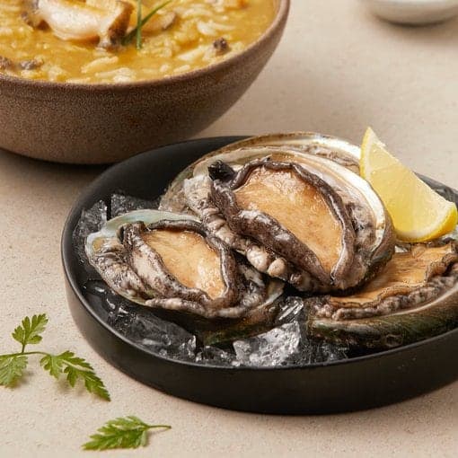 완도 산지직송 활 전복 1kg (11~12미) (15,130원 / 무료배송)