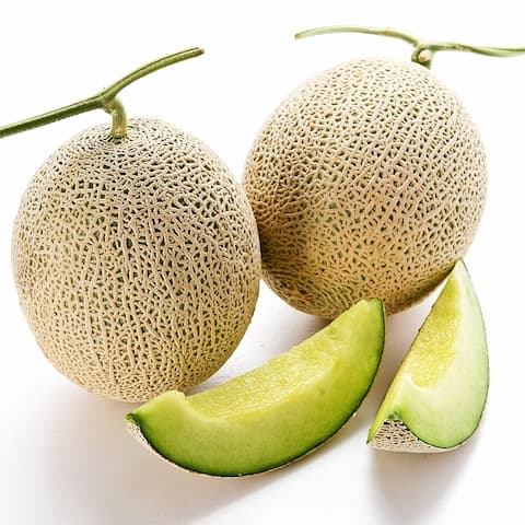 [오늘의집]1+1 국내산 머스크 멜론 2수 2.5kg (8,910원/무료) (무료배송)