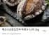 완도전복 1kg 9~11미 구성