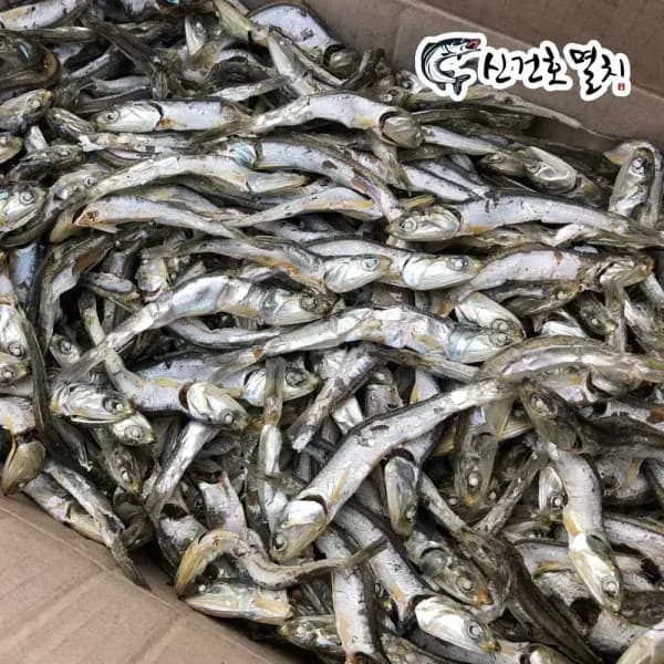 [카카오]국내산 다시멸치 1.5kg (10,700원/무배)
