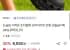 논슬립 슈퍼라이트 펀칭 샌들슬리퍼