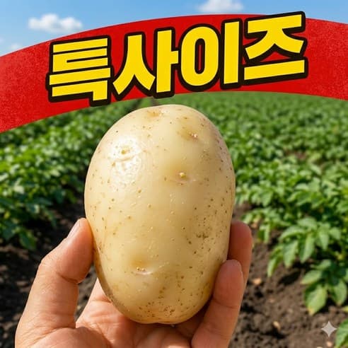 햇 감자 국내산 특 1.5kg 네이버 멤버십만 (2,440원 / 무료배송)