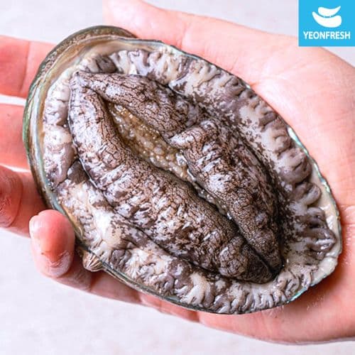 [공영쇼핑]완도활전복 1kg 9미-10미 (14,800원/무배)