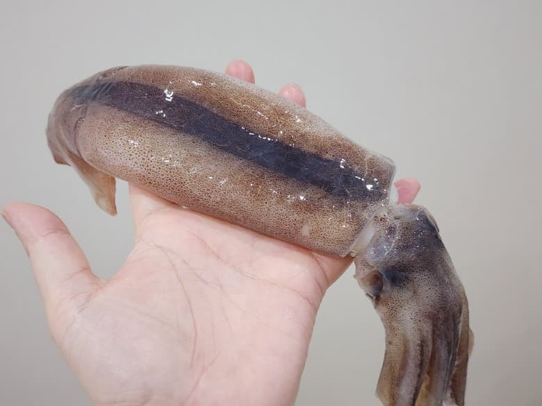 [지마켓]국내산 생물 오징어 1kg 4~5미(15,780원/무배)