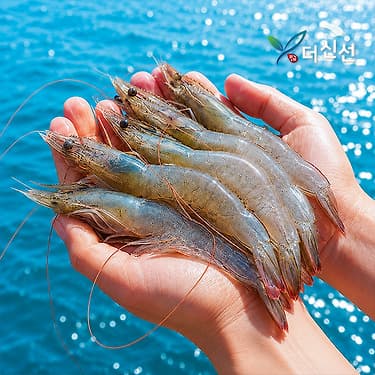[카카오]국내산 활새우 1kg 40미 내외 (24,620원/무료) (무료배송)