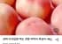 경북 아삭달콤 백도 경봉 딱딱이 복숭아 4kg 18과