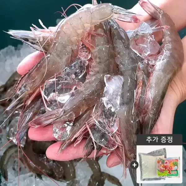 [네이버]국산 흰다리새우 활새우 1kg(35미) (21,170원/네맴무료) (무료배송)