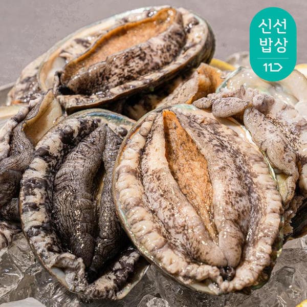 [11번가]완도 활 전복1kg 6-7미 특대전복 횟감용 구이용 살아서도착 + 세척솔 증정 (17,320원/무료)