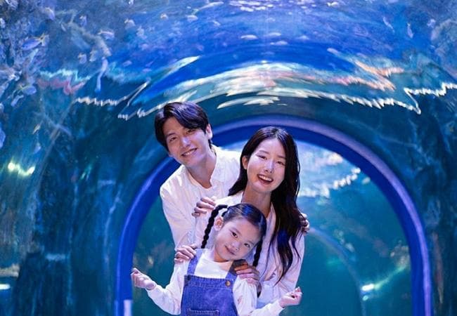 야놀자)아쿠아플라넷 여수 28,700원~ (무료배송)
