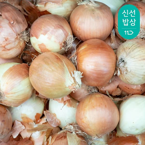국내산 햇양파 5kg 네멤무배 (3,850원)